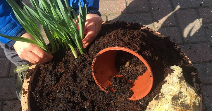 Durham Cathedral create your own easter garden at home